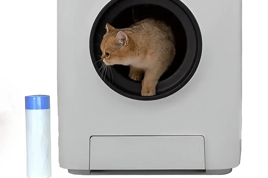 scooping kitty litter